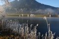Putterersee - winter 17142 2013-12-23.jpg