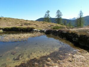 Schobersee 1379 2007-05-19.jpg