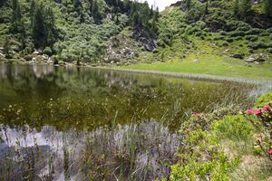 Schobersee 93199 2015-06-26.jpg