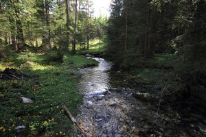 Strummern mühlreith 47230 2017-05-17.jpg