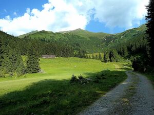 Untere Glattalm,mit Eiskarspitze ,Glattjoch.JPG
