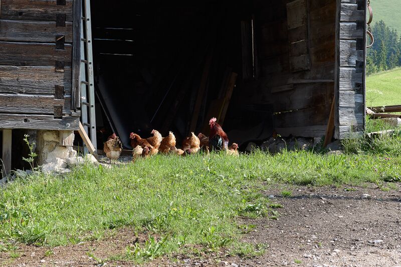 Datei:Vlg lackner zlem-0580-2023-06-09.jpg