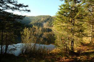 Ödensee 77947 2014-11-03.jpg