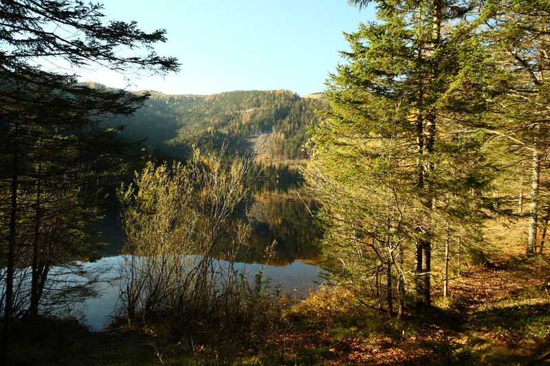 Datei:Ödensee 77947 2014-11-03.jpg