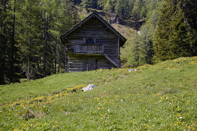 Datei:Ausseer Teltschenalm-105-2020-05-27.jpg