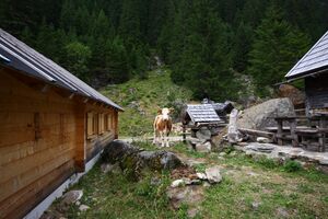 Berallerhütte 1238 13-08-08.jpg