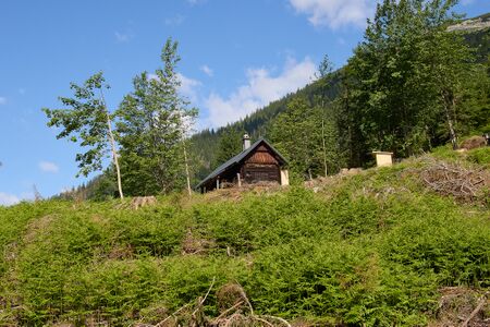 Bergbauernalm Palfau-0644-2025-06-24.jpg
