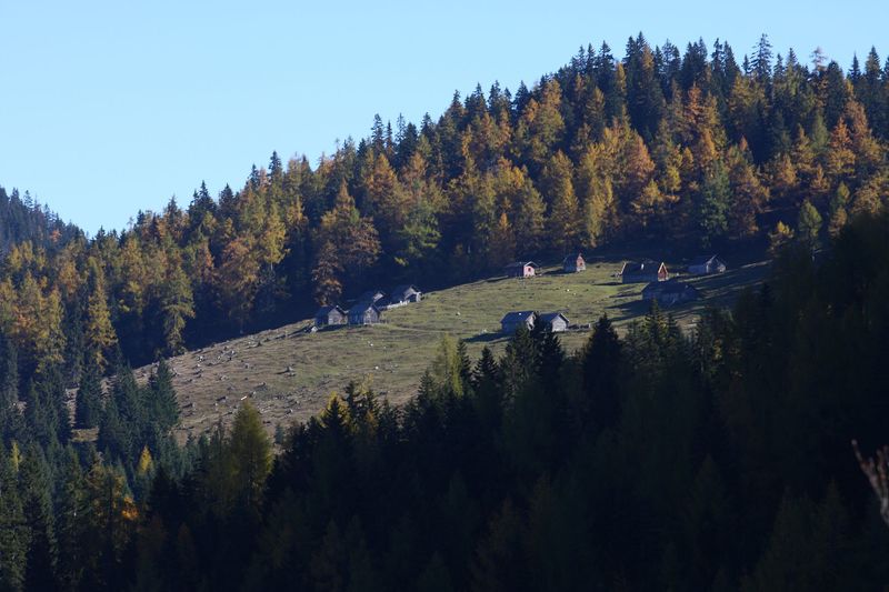 Datei:Berillenalm miesbodenstraße 10758 2015-10-27.jpg