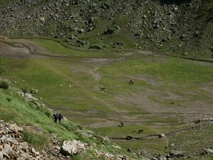 Gollingwinkel 5698 2004-08-16.jpg