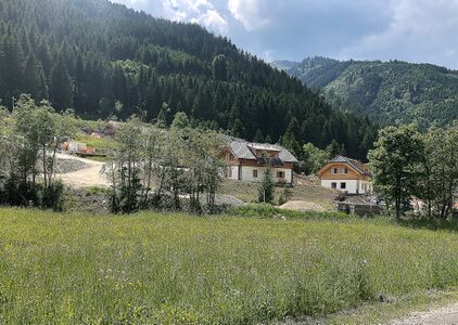 Hüttendorf donnersbachwald-1003-2021-06-17.jpg