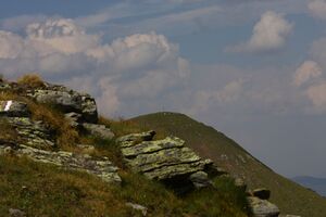 Hohenwart 61859 2013-08-06.jpg