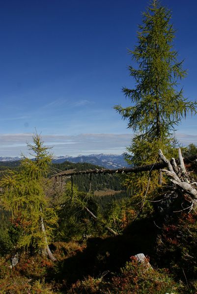 Datei:Kammalm 40581 2012-10-05.jpg