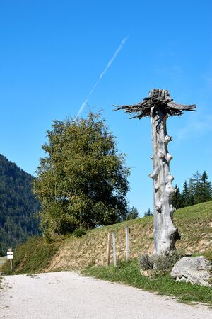 Lenzbaueralm pichl-kainisch-0279-2023-09-29.jpg