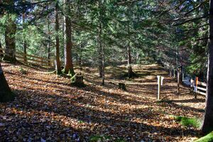 Röm.fluchtburg burgstaller 13995 2015-11-12.jpg