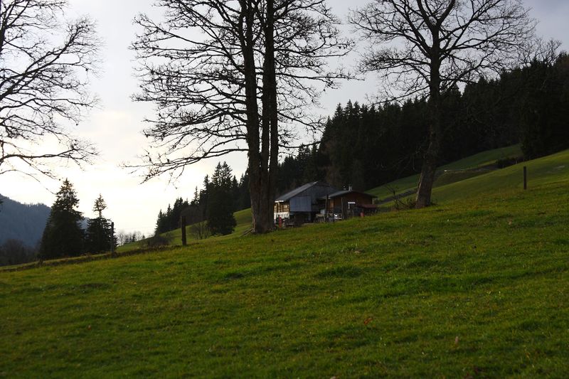 Datei:Rösteralm rittisberg 79363 2014-11-16.jpg