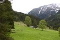 Aigneralm preunegg-3121-2013-05-26.jpg