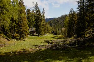 Ausseer Teltschenalm-127-2020-05-27.jpg