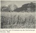Ernteerfolg nach Entwässerung 1932.jpg