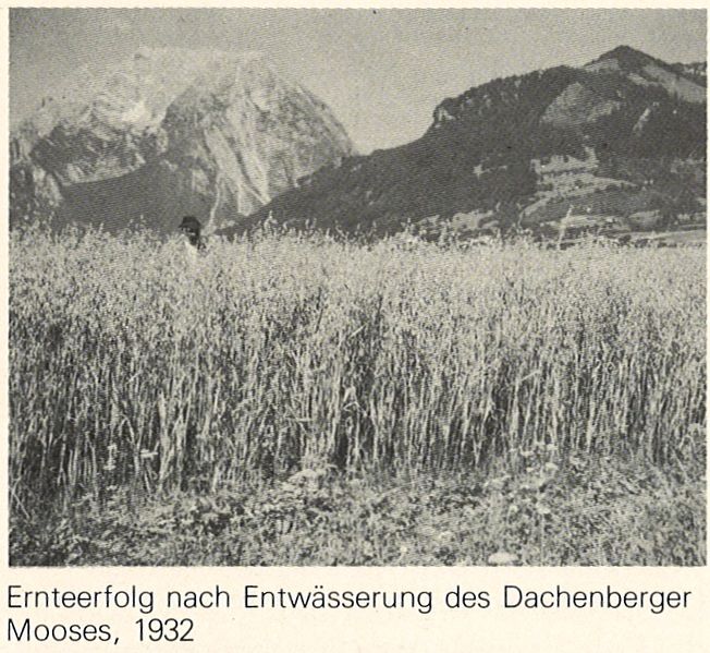 Datei:Ernteerfolg nach Entwässerung 1932.jpg