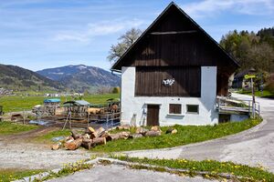 Gaisberger vlg. Pfeifer lassing-300411-2023-05-04.jpg