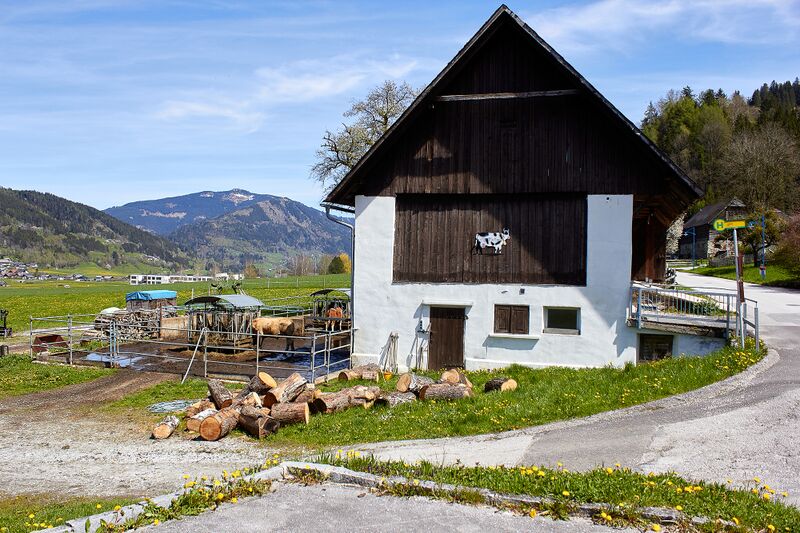 Datei:Gaisberger vlg. Pfeifer lassing-300411-2023-05-04.jpg