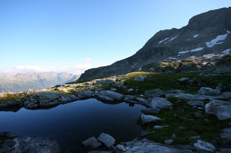 Datei:Goldlacken 0412 2008-08-12.jpg