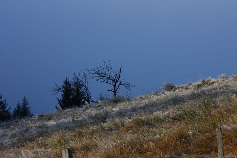 Datei:Halseralm-rittis 80008 2014-12-05.jpg