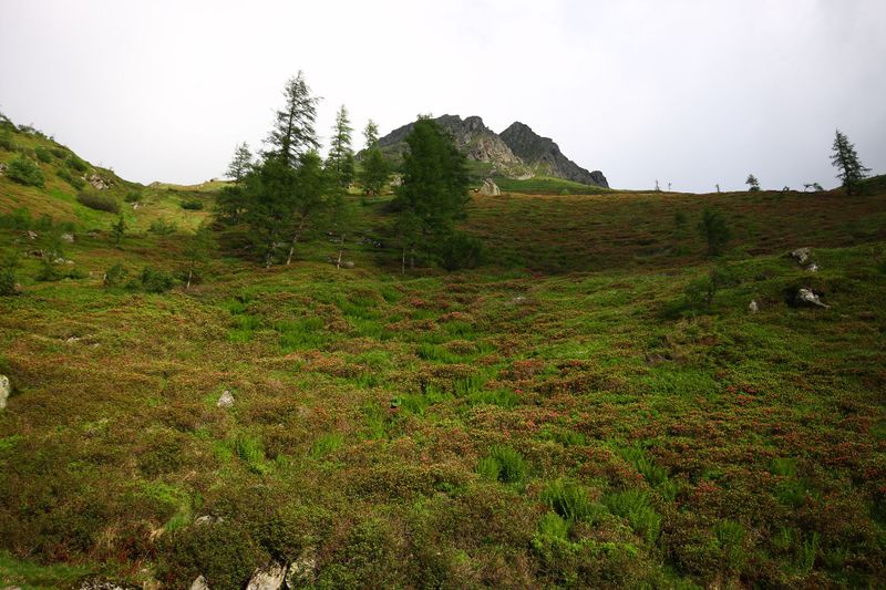 Datei:Katschtal 92609 2015-06-18.jpg