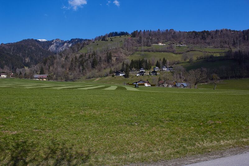 Datei:Kunagrün-0151-2021-04-23 09.51.34.jpg