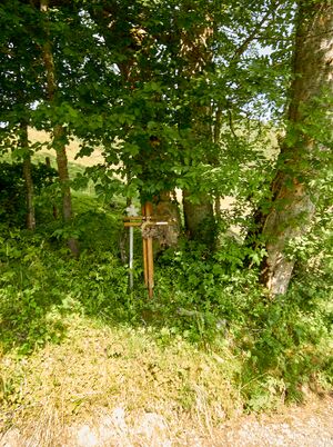 MA-Robert leistenalm-2000-2021-07-27-2.jpg