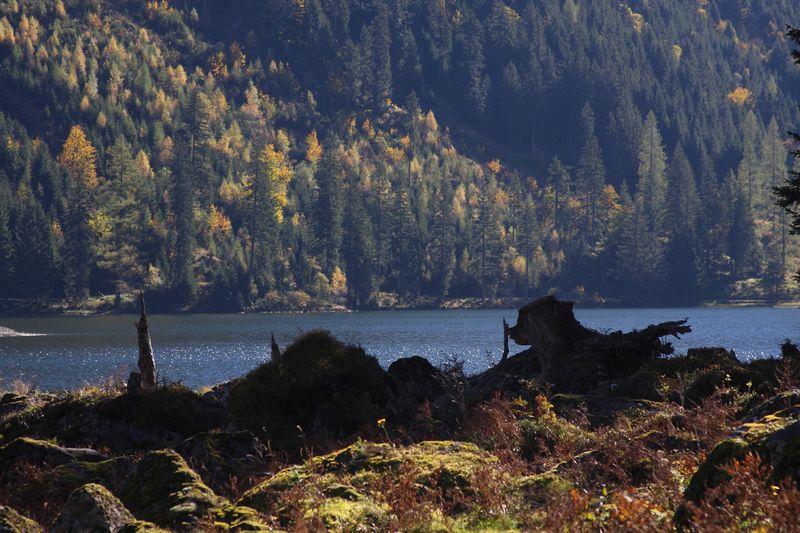 Datei:Schwarzensee 0743 2010-10-09.jpg