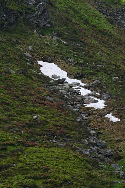 Datei:Wildkar 1918 2008-06-26.jpg