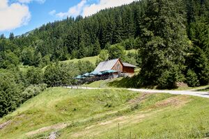 Zosseggalm johnsbach-2000-2021-07-03.jpg