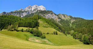 Ödstein - Gamsstein012.JPG