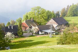 BH schlagerbauer-0265-2022-05-18.jpg