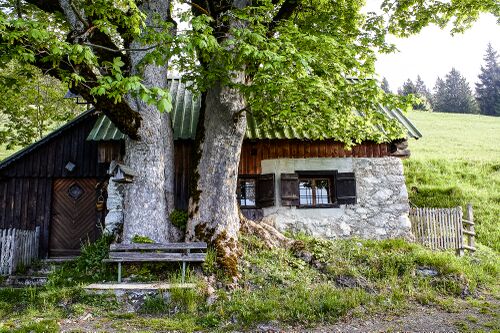 Behamlehen-0323-2022-05-18.jpg