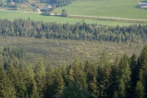 Die Auen-0096-2024-07-19.jpg