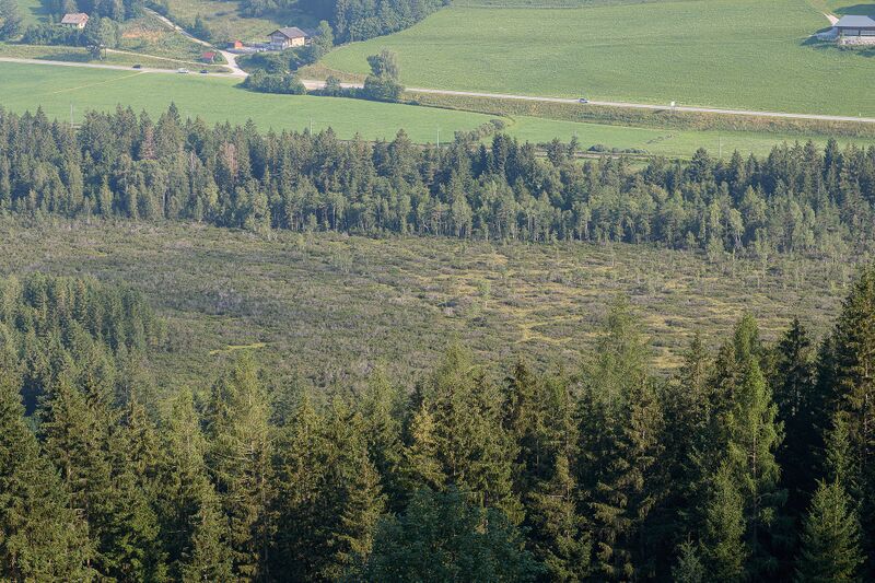 Datei:Die Auen-0096-2024-07-19.jpg