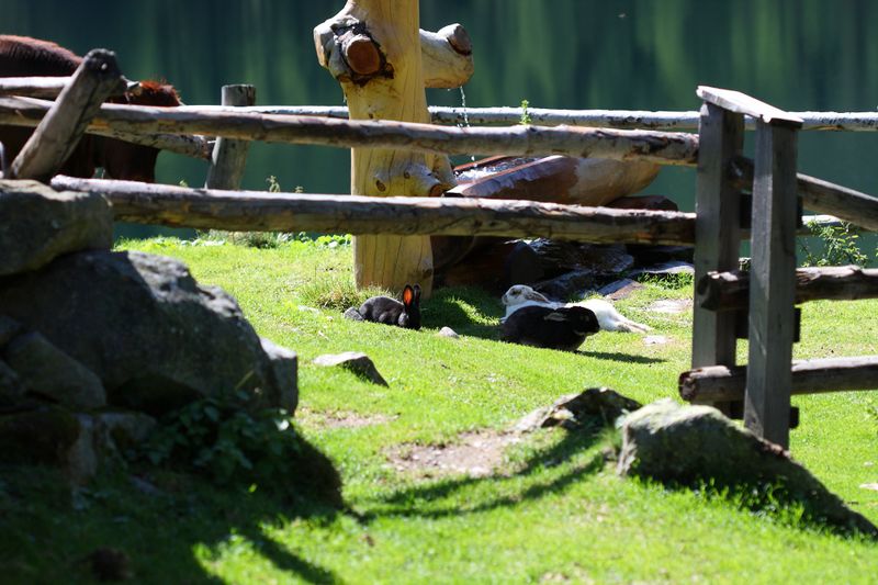 Datei:Duisitzkarsee 15103 2011-08-28.jpg