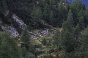 Eiskaralm 02191 2015-09-11.jpg