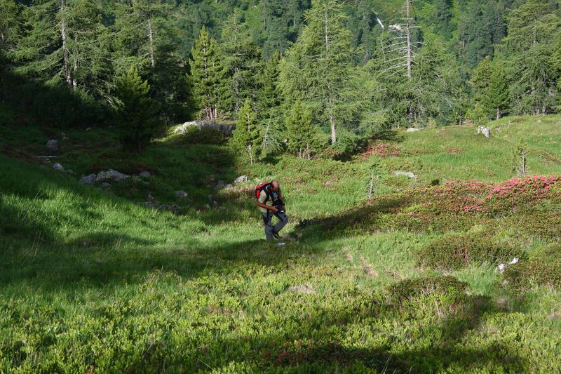 Datei:Im Hüttkar 39503 2012-06-29.jpg