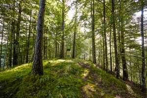 KalvBerg K-Landl-0113-2025-08-06.jpg