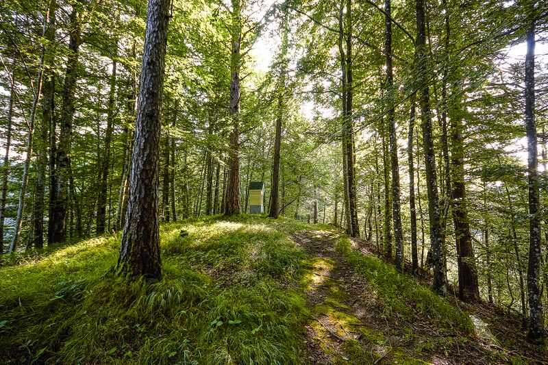 Datei:KalvBerg K-Landl-0113-2025-08-06.jpg