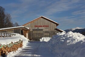 Pehab-stall ramsau 93707 2019-01-20.jpg