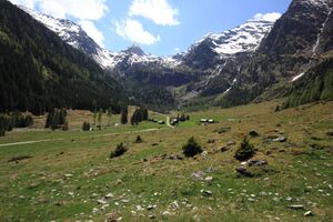 Sattental 45984 2017-05-19.jpg