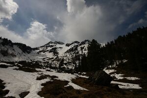 Strickerkar 55704 2014-05-02.jpg