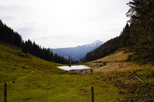 Stubeggsattel-0164-2021-05-24 07.39.05.jpg