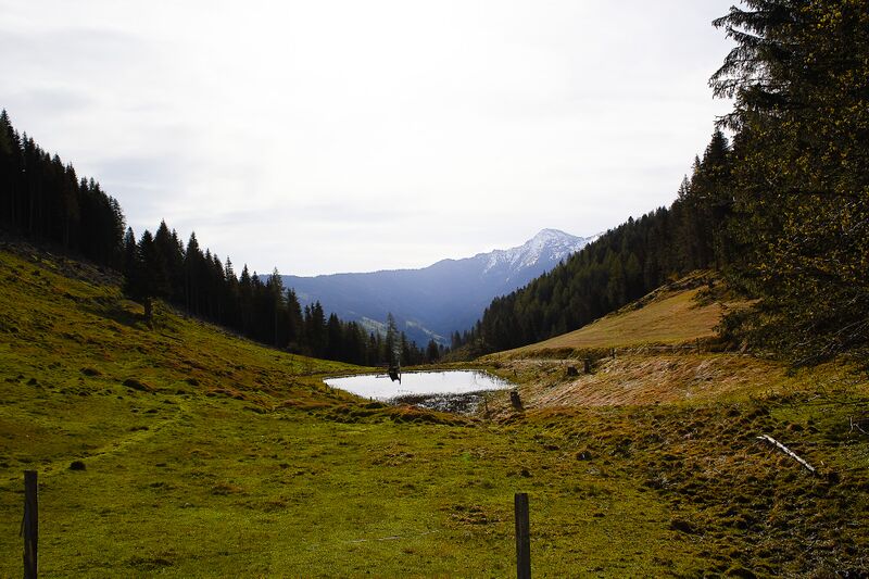 Datei:Stubeggsattel-0164-2021-05-24 07.39.05.jpg