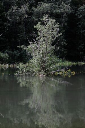 Tettermoor-hochwasser 0932 2012-07-21.jpg