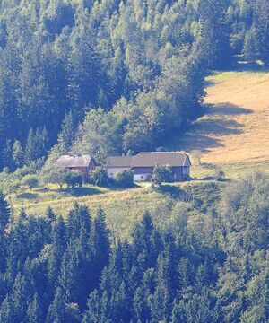 Vlg Ameisbichler strechau 7-31-2025-07-05.jpg